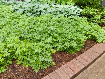 Brick Hardscape Construction in Burlington, VT