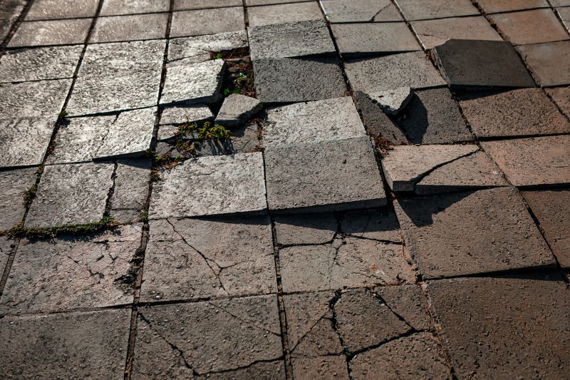 Damaged Stone Paver Repair